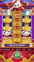 pg11 · Fortune Rabbit